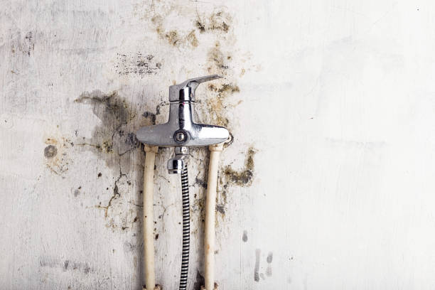 Best Residential Mold Removal  in Chattahoochee Hills, GA