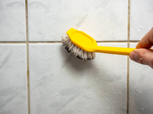 Best Same-Day Mold Removal  in Chattahoochee Hills, GA