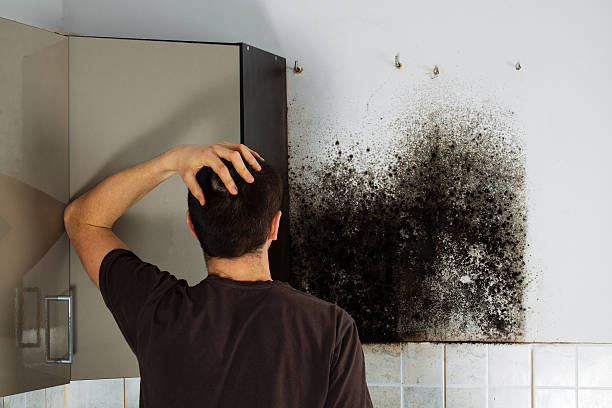 Best Black Mold Removal  in Chattahoochee Hills, GA