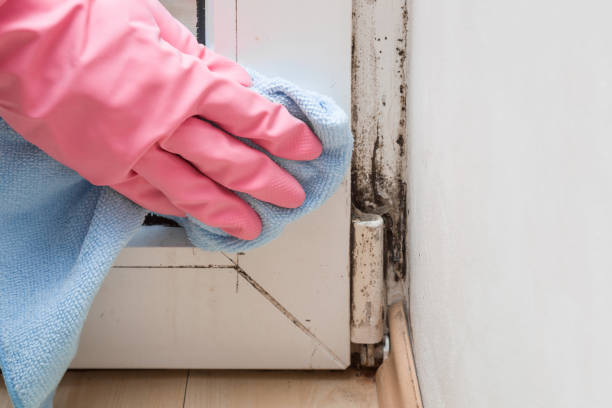 Best Crawl Space Mold Removal  in Chattahoochee Hills, GA